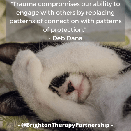 Image of a kitten with paws over face. Quote reads "Trauma compromises our ability to engage with others by replacing patterns of connection with patterns of protection" - Deb Dana on Polyvagal Theory